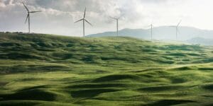 wind turbine surrrounded by grass
