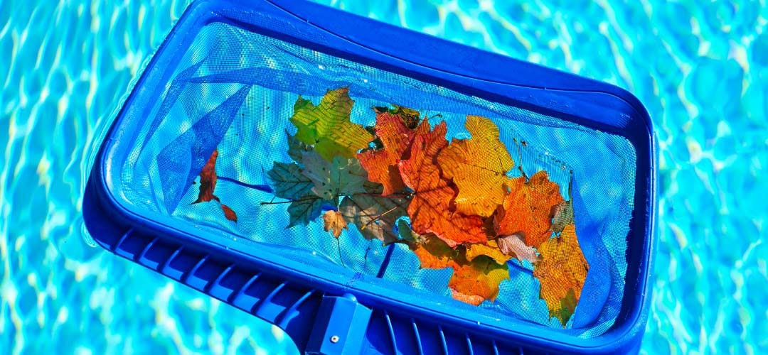 A blue pool and a blue bucket overflowing with leaves, with a net skimming debris from the water.